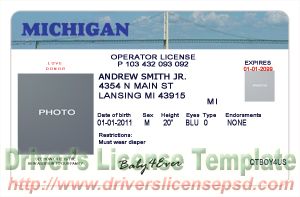 font used on michigan drivers license